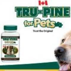 TRU-PINE for Pets is a powerful antioxidant and anti-inflammatory made of Canadian Pine bark, Rose hips and Vitamin C. Made only in Canada.