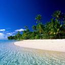 Silver Leon - @Leon_Silver3 - Twitter