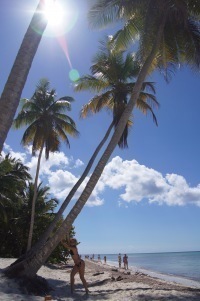 AntniaLpis6's profile picture. Quando um cai todos o pisam