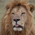 Atua Enkop Africa (@atuaenkopafrica) Twitter profile photo Atua Enkop Africa (@atuaenkopafrica) Twitter profile photo