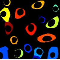 GonczyLab (@gonczylab) 's Twitter Profile