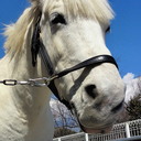 ☆KAIZER☆ (@0208_ren) Twitter