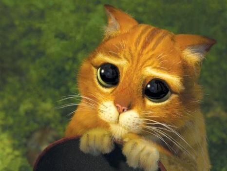 Hollydollie56's profile picture. 