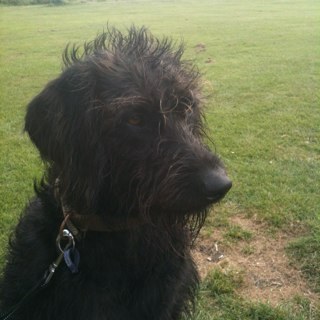 out for a walk