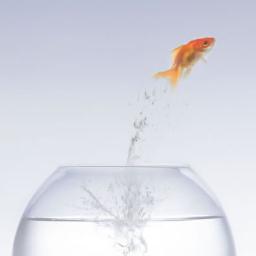 manesis_recruit's profile picture. Manesis Search and Selection are a specialist recruitment consultancy based in the Midlands.