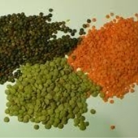 Judith Byrne (@dahju_lentil) 's Twitter Profile Photo Judith Byrne (@dahju_lentil) 's Twitter Profile Photo