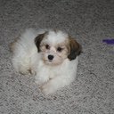 Sheila Compton - @SCompton5 - Twitter