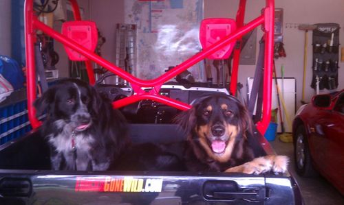 learningirish's profile picture. 