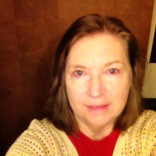 carolynh07's profile picture. Carolyn's cabin is surrounded by forest, my chickens, dog and a few cats. hawkwatcher former Chair of Hawk Migration Association of North America