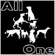 a small friendly competitive flyball team based in east Sussex. we believe that all breeds of dog can enjoy flyball.