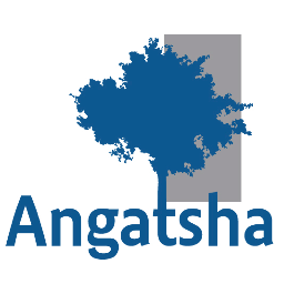 Angatsha, tout sur le management des risques en lien avec les thématiques Qualité, Sécurité, Environnement et développement durable.