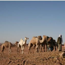 Rédactrice en chef, Jeune Afrique. Mes tweets n'engagent que moi.