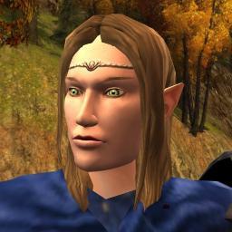 I am an Elf Minstrel in Eriador, the Game-world of Lord of the Rings Online; Server RP-Laurelin; Kinship The Order of the White Flame.