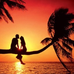 ftl_love's profile picture. volg ons voor leuke tweets.