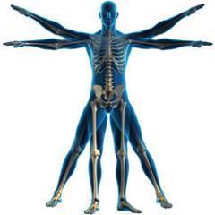 PremierPhysio1's profile picture. 