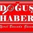 DOGUSHABER's profile image