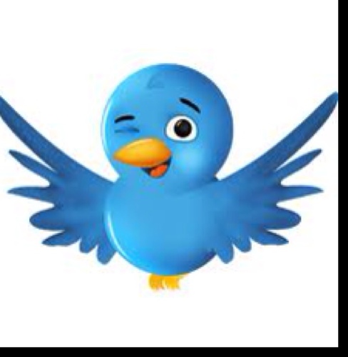 followers622 Profile Picture