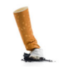 TobaccoFreeLI's profile picture. TACLI works to promote environments open to creating a tobacco-free norm.