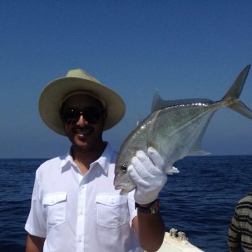 HamadFJ's profile picture. I really dont know what to write here.