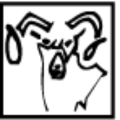 ramcon1's profile picture. Restoration Services 24 Hour Emergency Services provider. Water,Fire,Storm, Damage professionals.