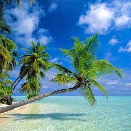 WE ORGANIZE YOUR HOLIDAY PATH........