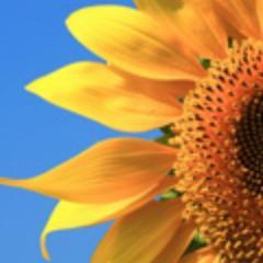 VieEquilibre's profile picture. En quête d'un vie équilibrée, je partage mes expériences sur mon blog.