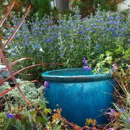 florapacifica's profile picture. A retail floral and garden center located in Coastal Oregon, promoting proper landscape principles, retail floral shop and garden center, long stem hydrangeas