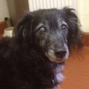 Pete Matthews - @Peat66 - Twitter