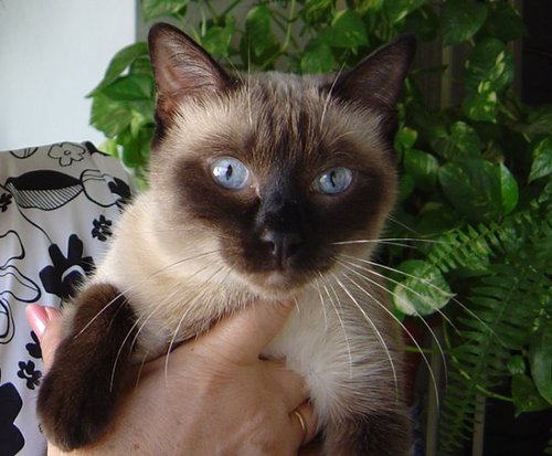 juanfegranja's profile picture. Cada problema tiene al menos una solución.