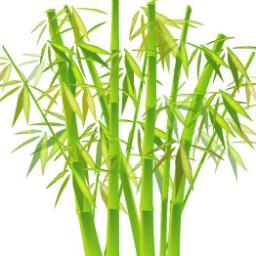 ITBambooGroveKR's profile picture. 입력은 아래 싸이트에서 해주세요.