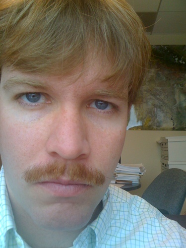 MmmmBerto's profile picture. 