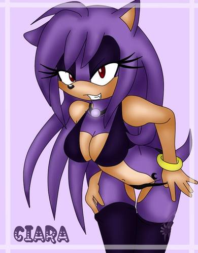 my name is ciara the hedgehog.i like going to the mall at times.my element is fire.my attack are fire punch,fire kick,flame blast. /single/
