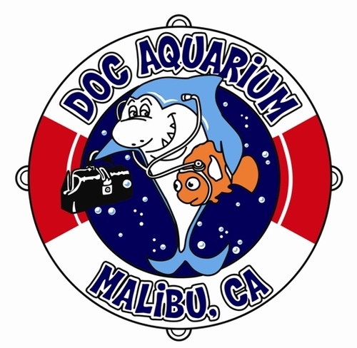 Doc Aquarium specializes in custom-designing & maintaining fish tanks and ponds. We now supply corals at zero impact from our greenhouse! Check us out online!
