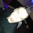 Chris_barton83's profile image