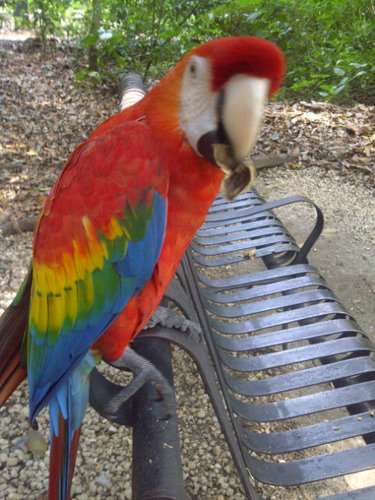 ayaixa's profile picture. 