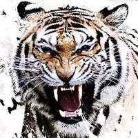 mohammed (@moode219) 's Twitter Profile