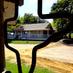 Lone Oak Ranch (@loneoakranch) Twitter profile photo Lone Oak Ranch (@loneoakranch) Twitter profile photo
