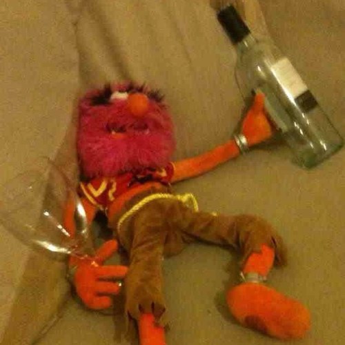 NormyAnimal's profile picture. Adopted by @reverendBiz in the fine town of Normy. Sharing tales of the rock n roll life.