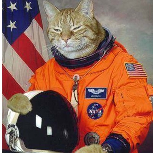 Space Kitten Iii On Twitter Usher He S A Sexy Bitch Overheardinmarketing
