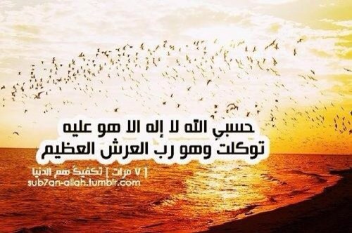 حساب متخصص لتغريد بذكر لله تعالى

سَبحانً ٱللہّ وُ بَحمْدھ ,, سَبحانً ٱللہّ العظيم