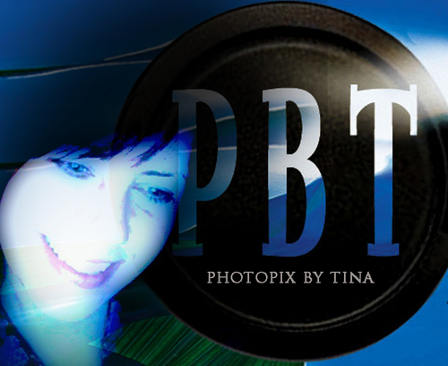 An award winning photographer from the Durham Region, I have always seen things a little different and enjoy capturing new and challenging moments to share!