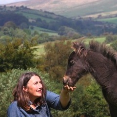 Friends of the Dartmoor Hill Pony supporting and promoting all ponies on Dartmoor, to keep dartmoor as we know and love it.