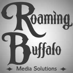Roaming Buffalo Media Solutions specializes in developing digital media, websites, video, SEO.SEM, branding for small businesses in the St. Louis, MO region.