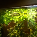 alison hutton - @Alison72Hutton - Twitter