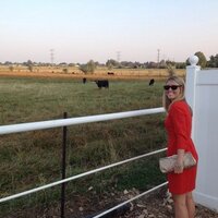 Sarah Beaulieu (@sbeau151) 's Twitter Profile