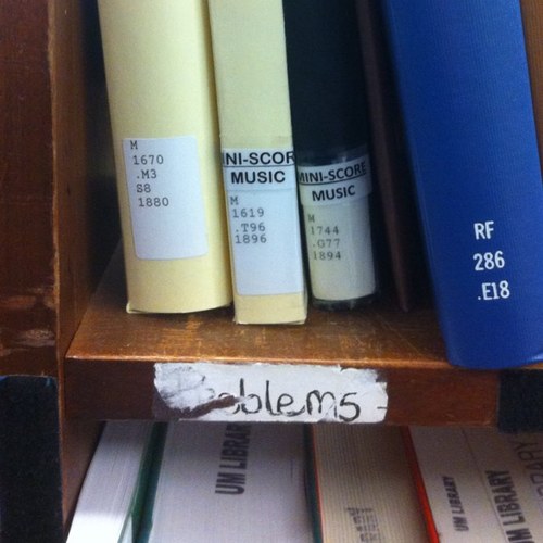 Just your average library staff trying to make it in this world. One problem at a time.