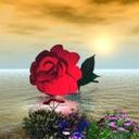 Lora Michelle - @michelle_lora - Twitter