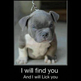 Blackberry Pin 293AE1B5
