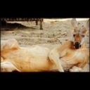 Benjamin Montague - @benlikesbananas - Twitter