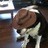 brackendalemum's profile image
